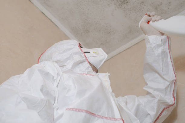  St Clair, MI Mold Removal Pros